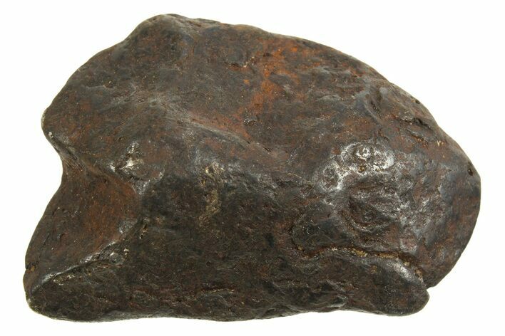 Canyon Diablo Iron Meteorite ( g) - Arizona #335939